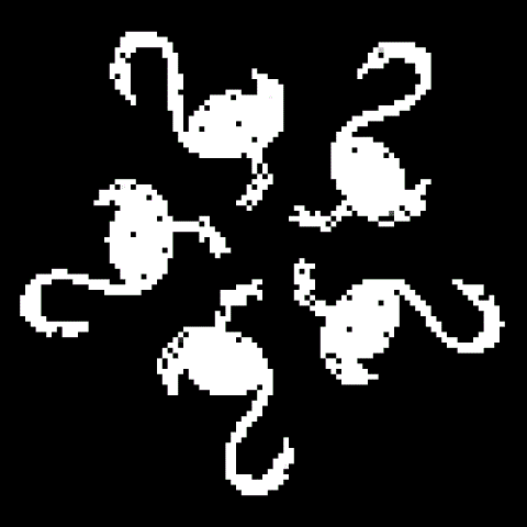 squawks